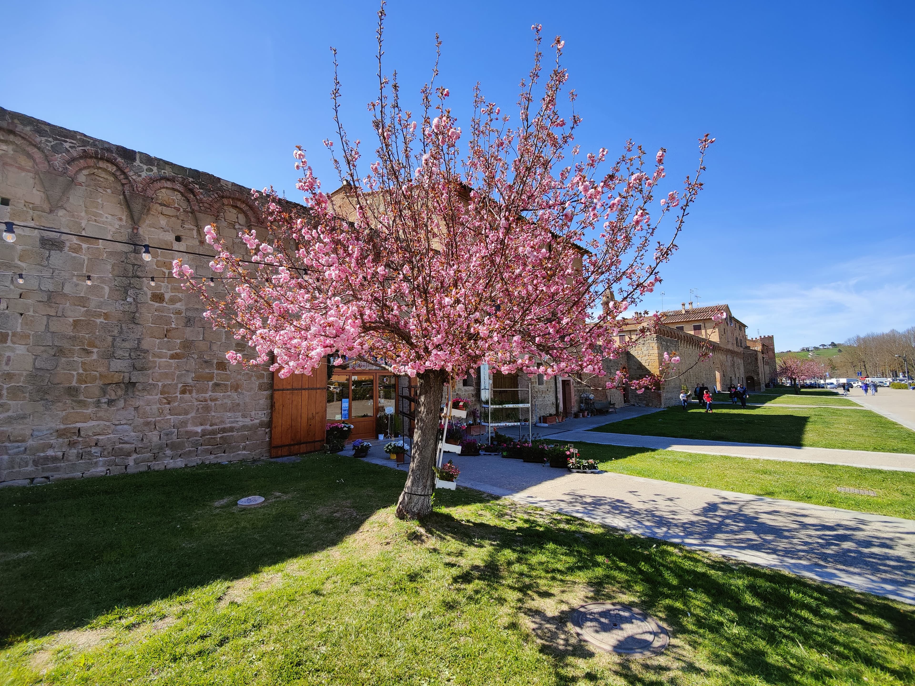 Buonconvento medieval walls