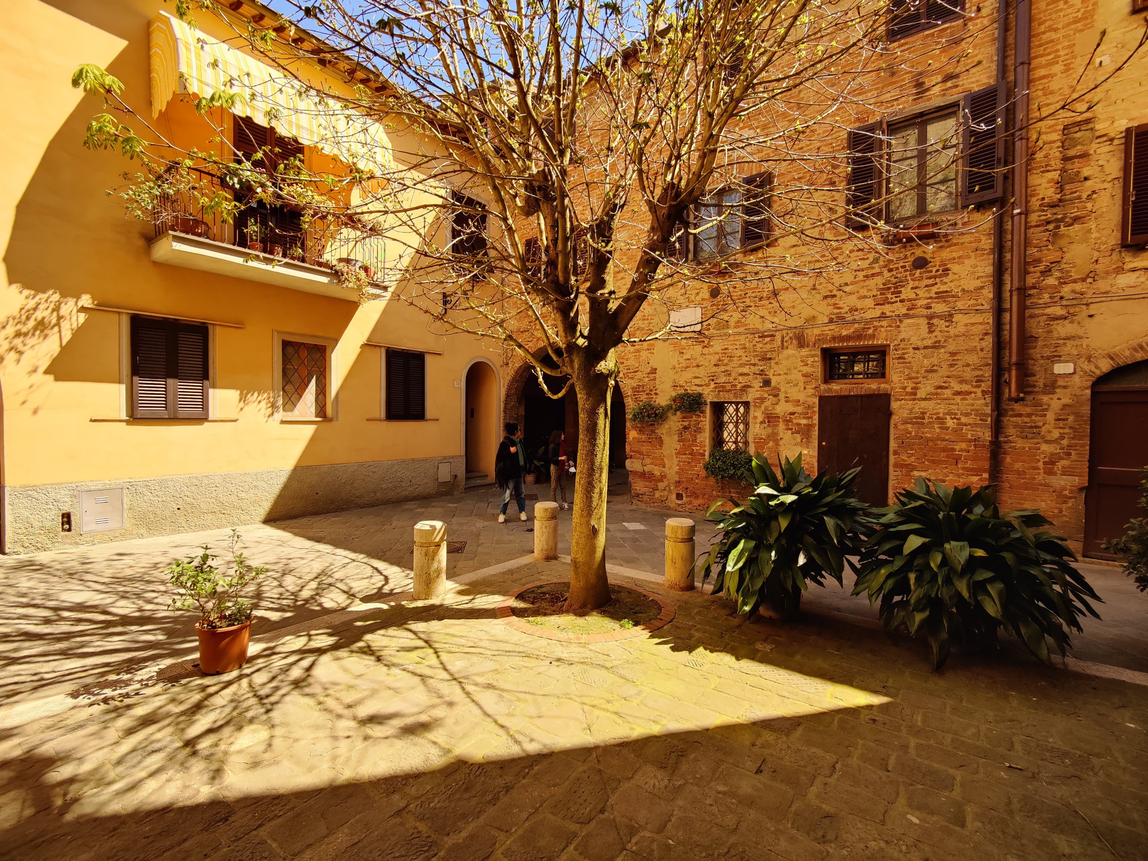 Via Soccini — the main street of Buonconvento