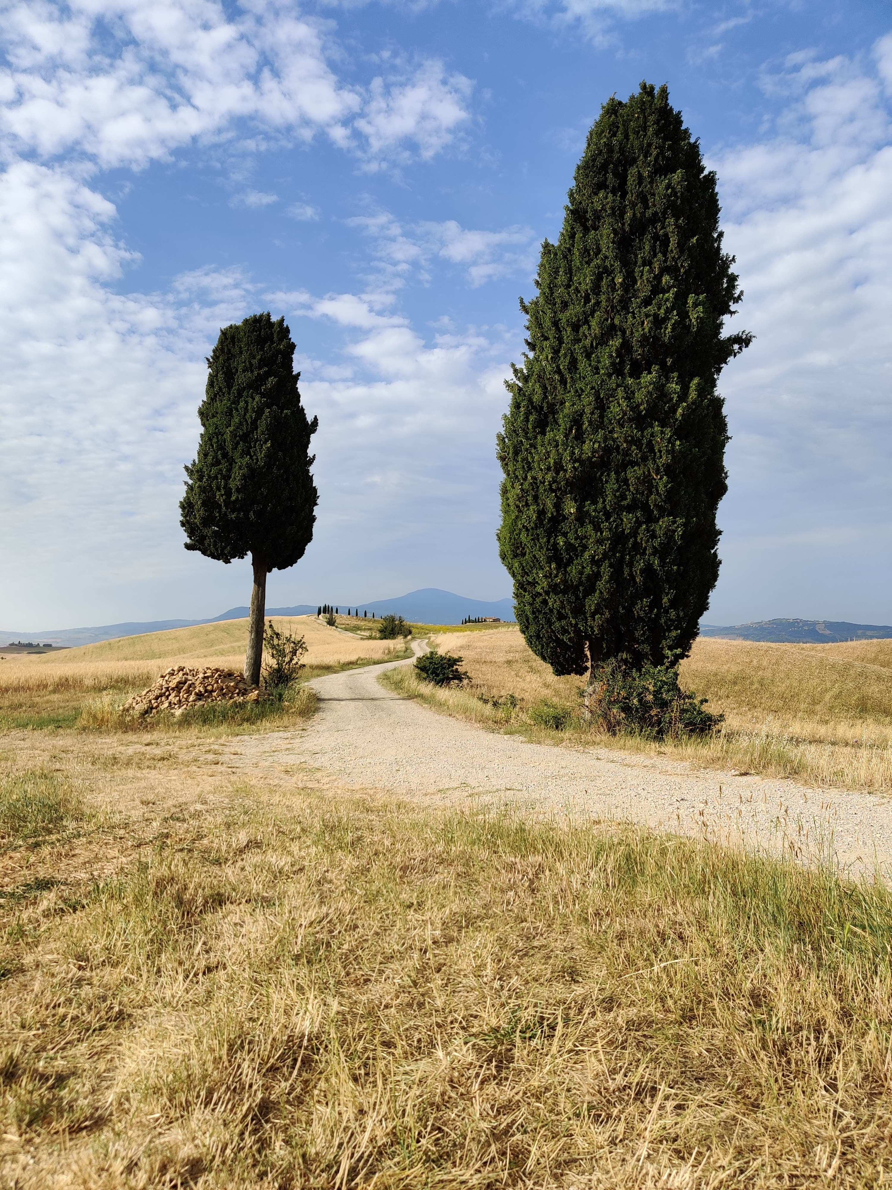 The wheat field at Campo di Terrapille
