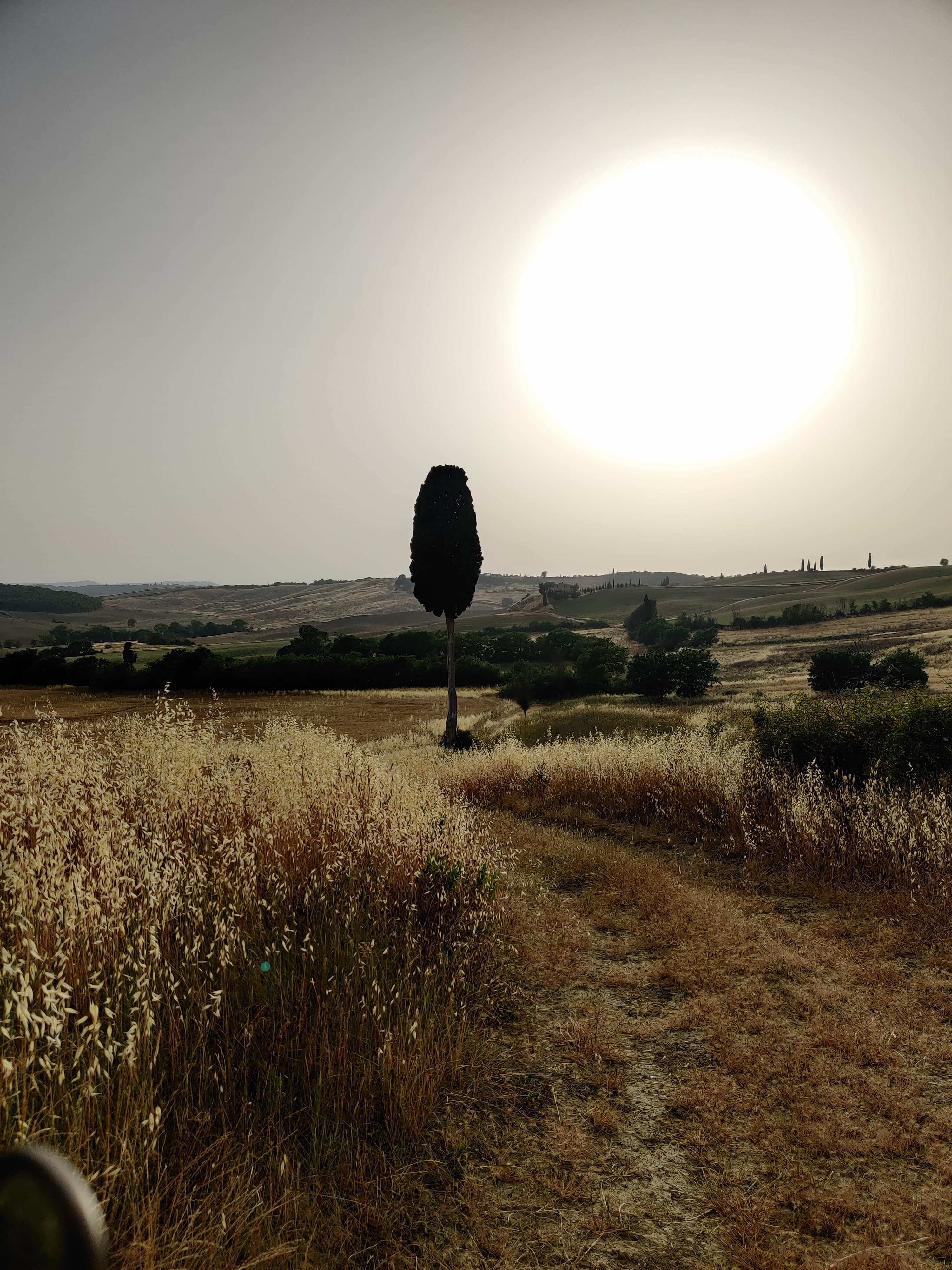 Touch the wheat — Campo di Terrapille