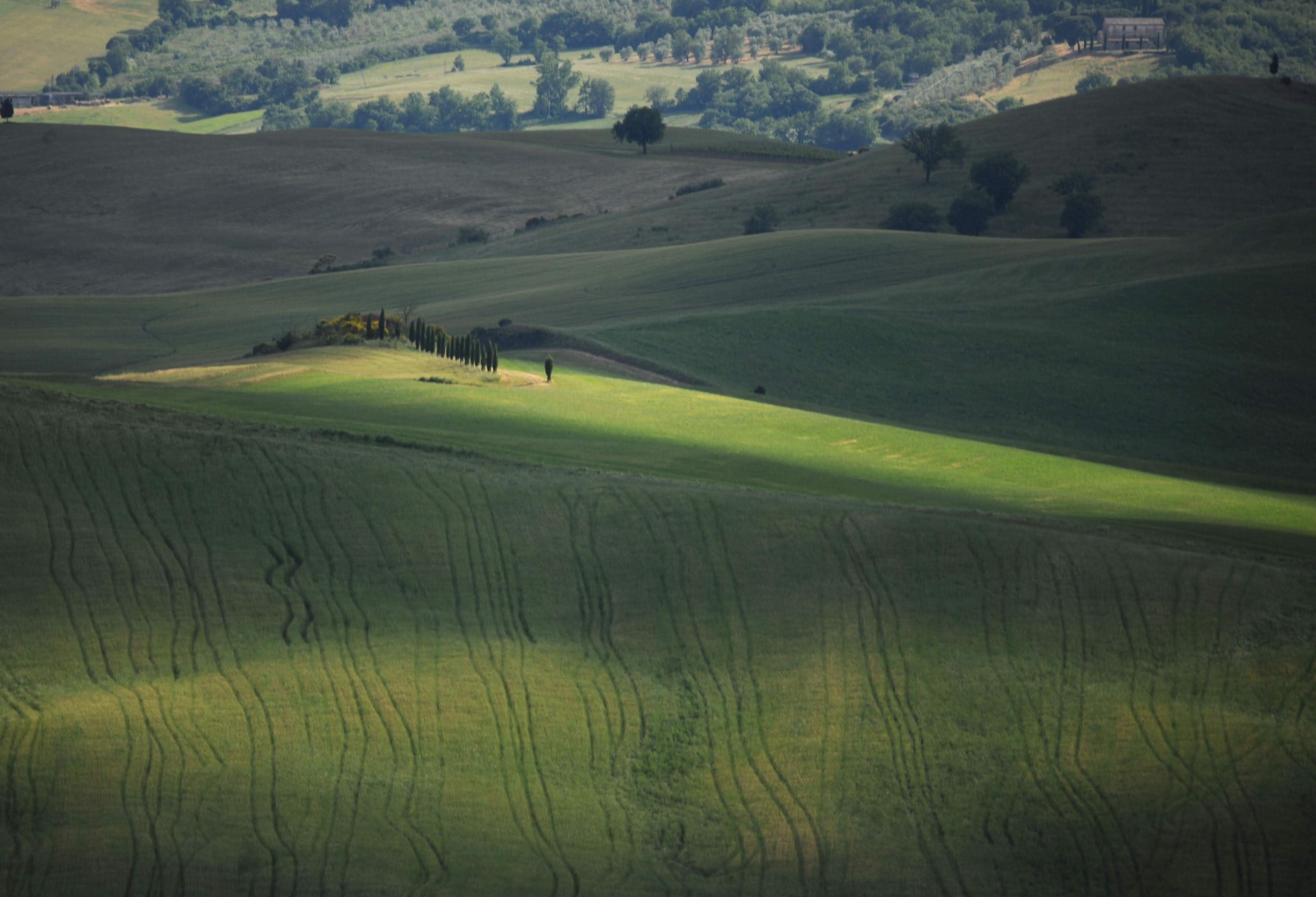 La Foce — the iconic winding road with cypress trees, Val d'Orcia, Tuscany