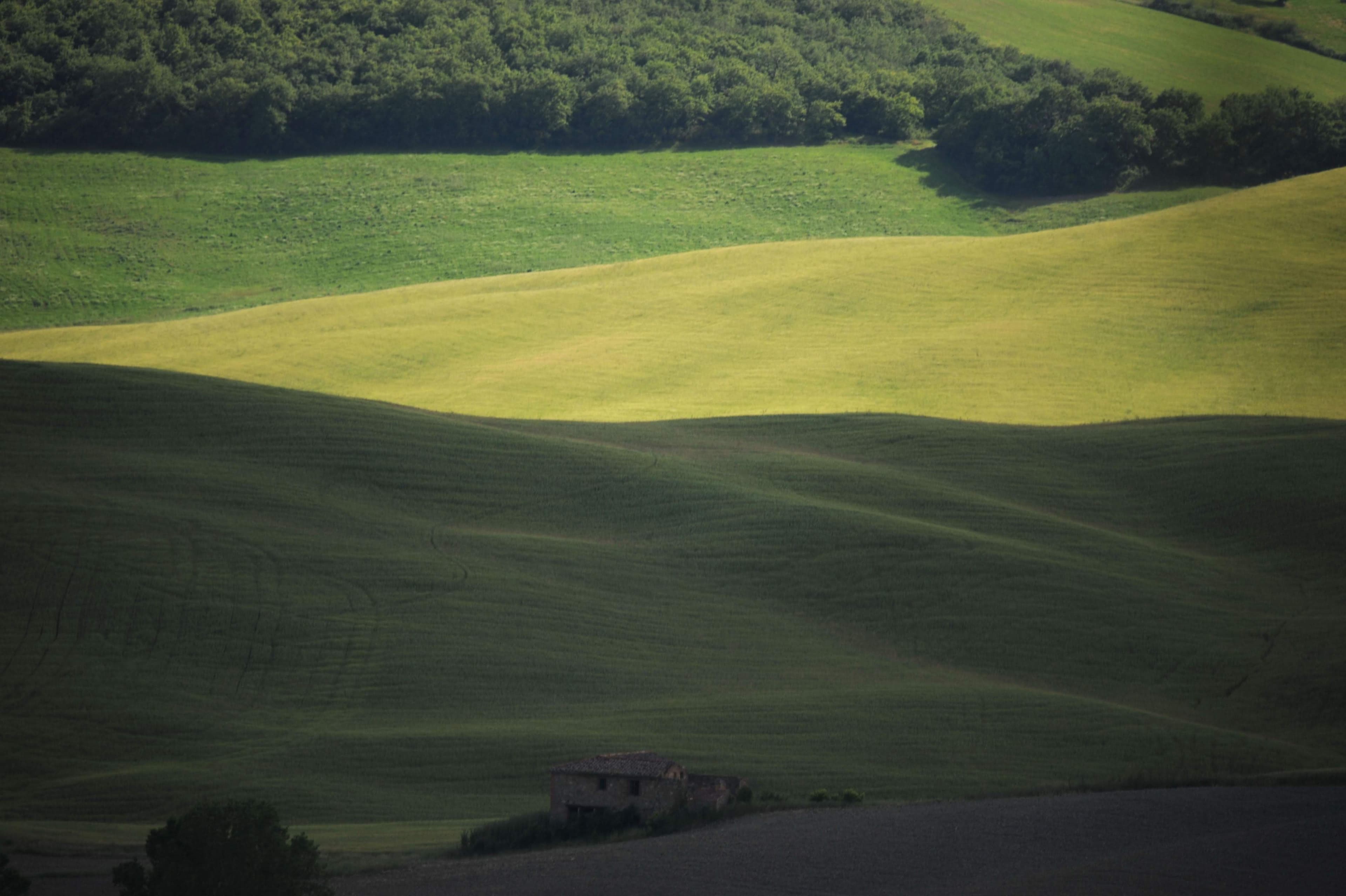 Rolling green hills of Val d'Orcia — telephoto landscape