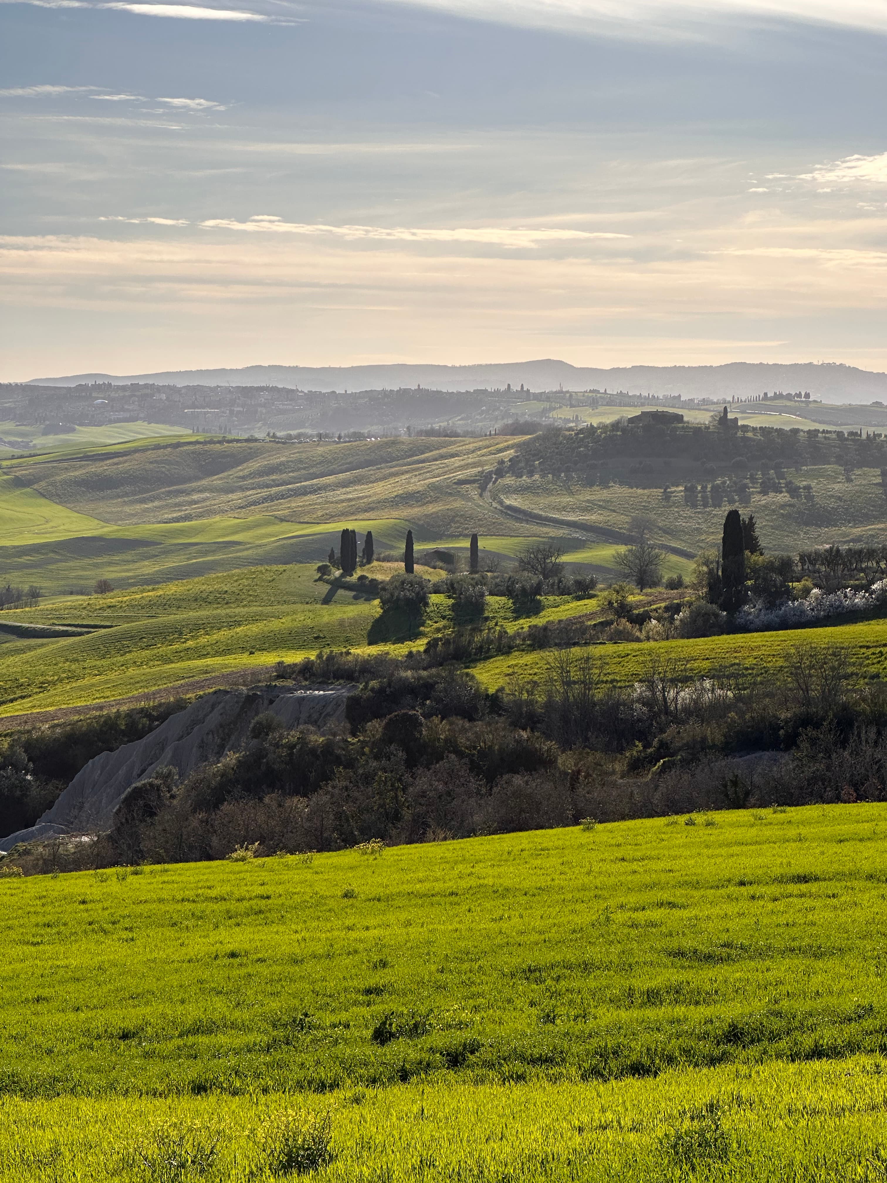 Spring in the Crete Senesi — cypress-lined road near Buonconvento