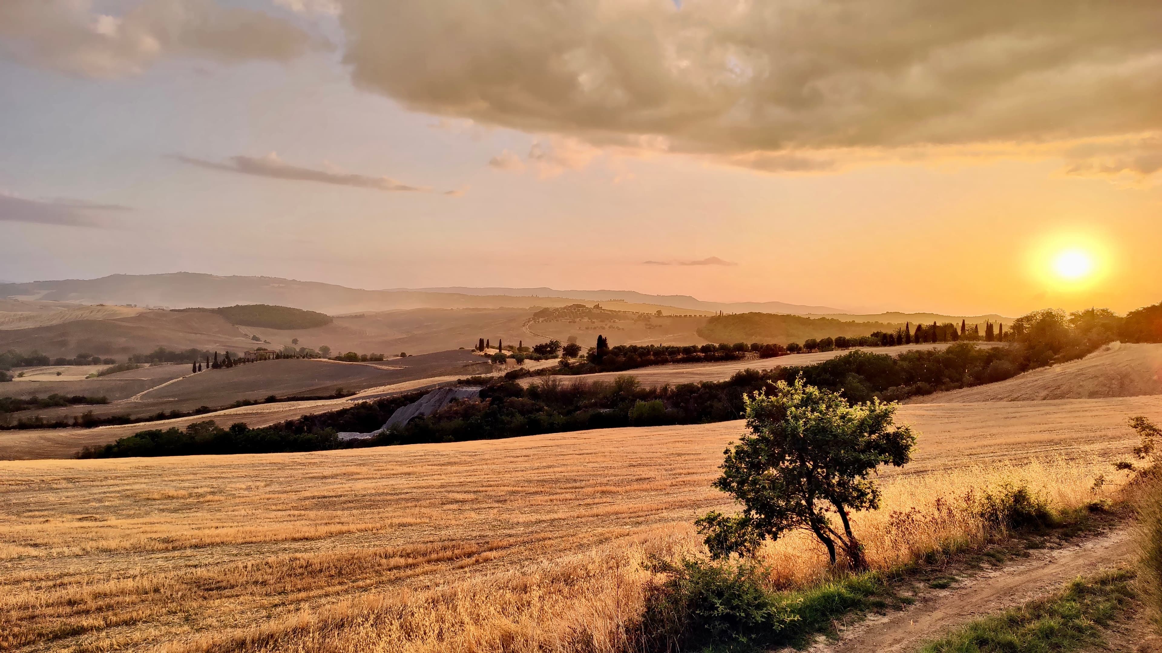 Val d'Orcia — grown here, still here