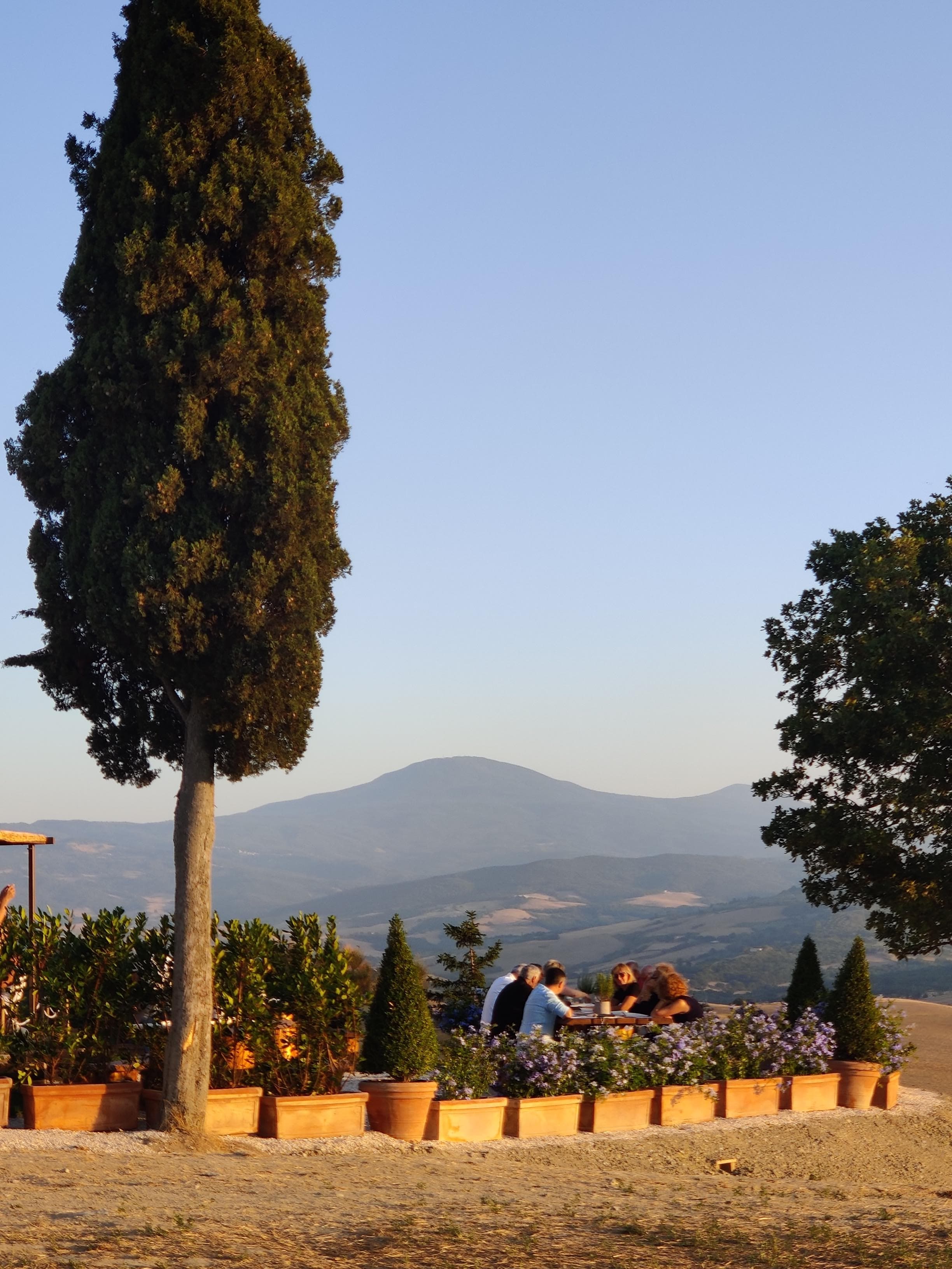 Cypress avenue at Cappella di Vitaleta, Tuscany